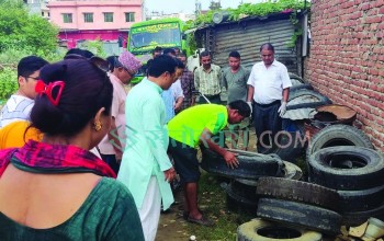 देशभर डेंगु संक्रमित संख्या तीन हजार ७ सय ५५ पुग्यो