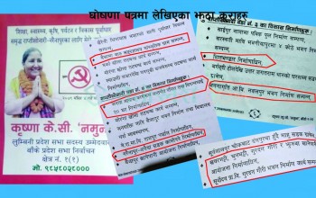 ‘नमुना’को घोषणा पत्रमा झुठै–झुठ, जनतामा आक्रोस