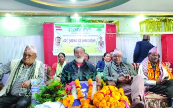 ‘ठालू’ बनेर बस्ने होइन, जनताको घरमा पुगेर काम गर्नुस्’ : राठौर