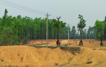 चुरे विनासले बस्ती नै सखाप