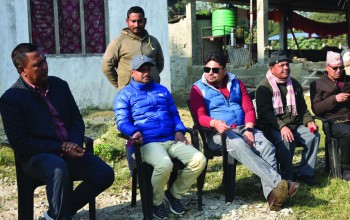 छाडा पशुचौपाया ब्यवस्थापनको प्रयासः नेपालगन्ज र राप्तीसोनारी सहकार्यको मोडेल खोज्दै