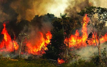 डोल्पा आगलागीमा गम्भीर घाइते भएका तीनै बालकको मृत्यु, सिङ्गो गाउँनै शोकमा डुब्यो