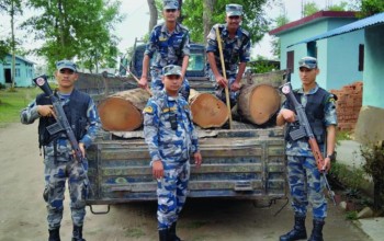 गहुँ लोड गरिएको ट्याक्टरभित्र २६ थान सालको अवैध काठ