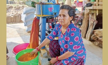 वन्यजन्तुका कारण वैकल्पिक खेती