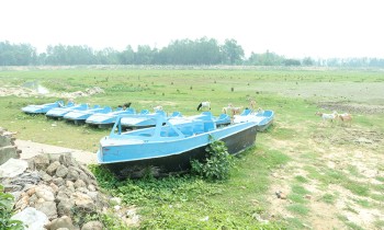 सर्लाहीको पर्यटकीय नाढिमन ताल गौचरनमा परिणत