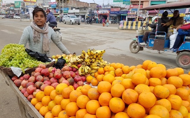 नेपालगन्जको सुर्खेतरोडमा बिक्रीका लागि फलफूल ठेलामा डुलाउदै बालक ।