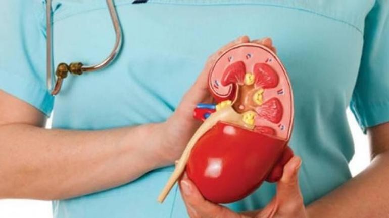 मिर्गौंला कसरी जोगाउने ?