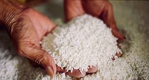 उपल्लो डोल्पामा दुई वर्षपछि खाद्यान्न ढुवानी