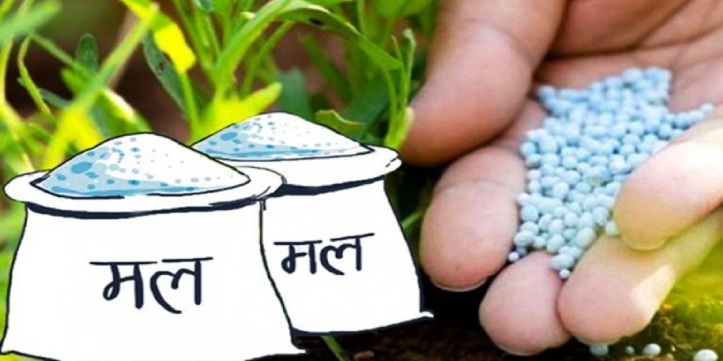 बाँकेमा मलको चरम अभाव, न्यून मौज्दातमा हिउँदे खेती प्रभावित