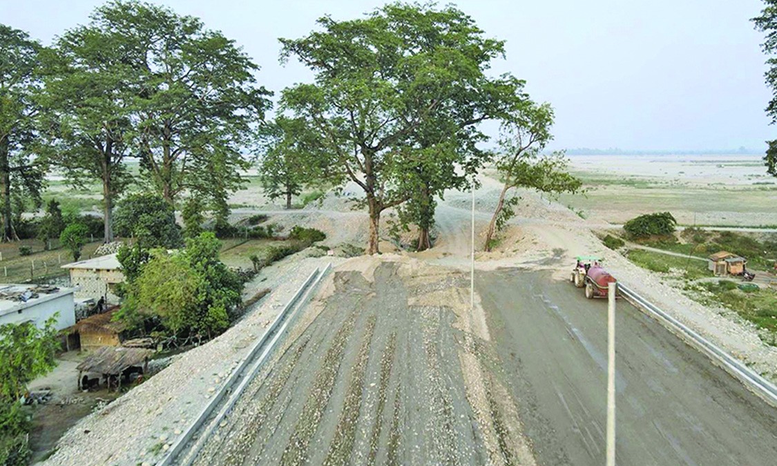 सिमलको रुखका कारण रोकियो सडक निर्माण