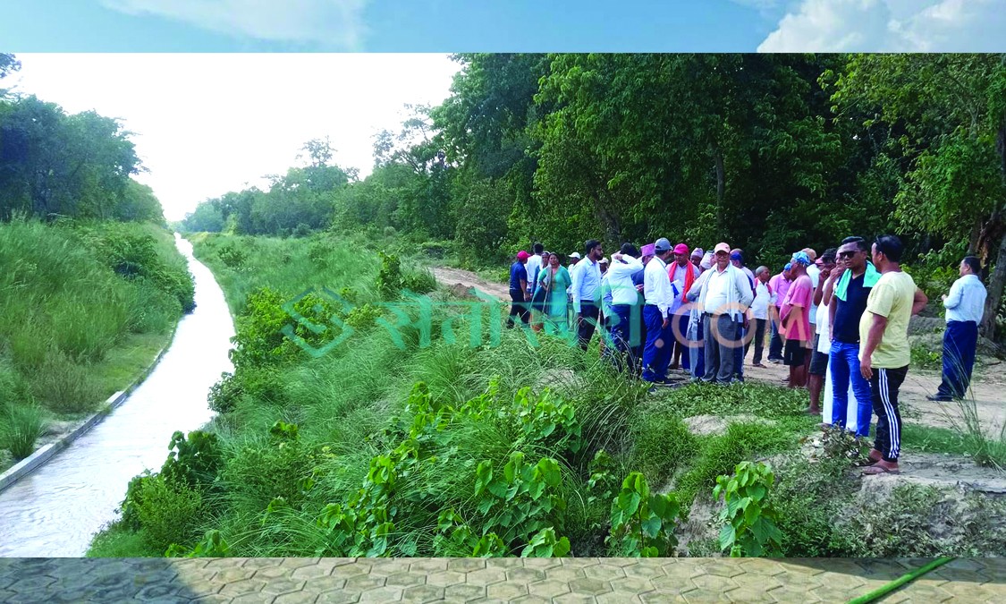 सिक्टाको पूर्वी नहरमा पानी छाडियो, ईन्जिनियरसहितको प्राविधिक टोलीले निगरानी गर्दै